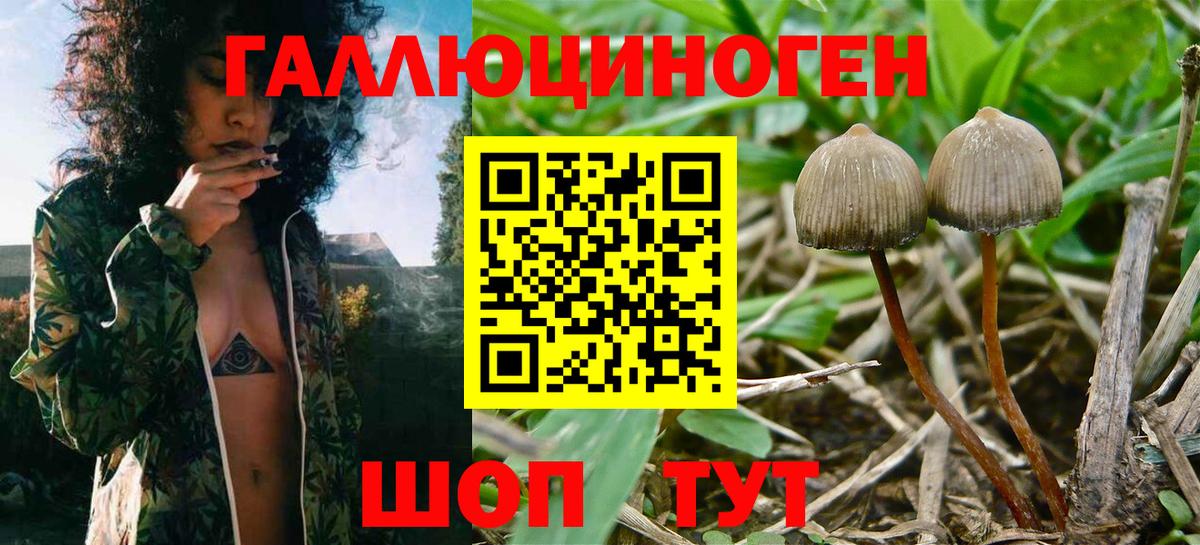 Галлюциногенные грибы прущие грибы  как найти закладки  Урюпинск  Галлюциногенные грибы прущие грибы  Вход с VPN 