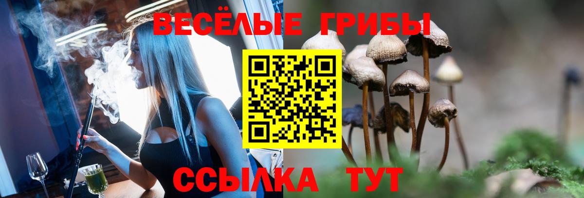 Псилоцибиновые грибы GOLDEN TEACHER Урюпинск